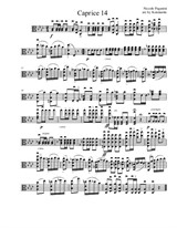 N. Paganini. Caprice No.14 (for viola)